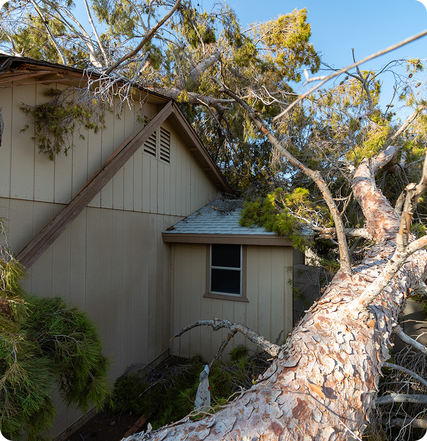 Emergency Response & Crisis Assistance