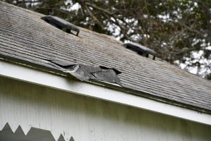 Damaged Roof Shingles